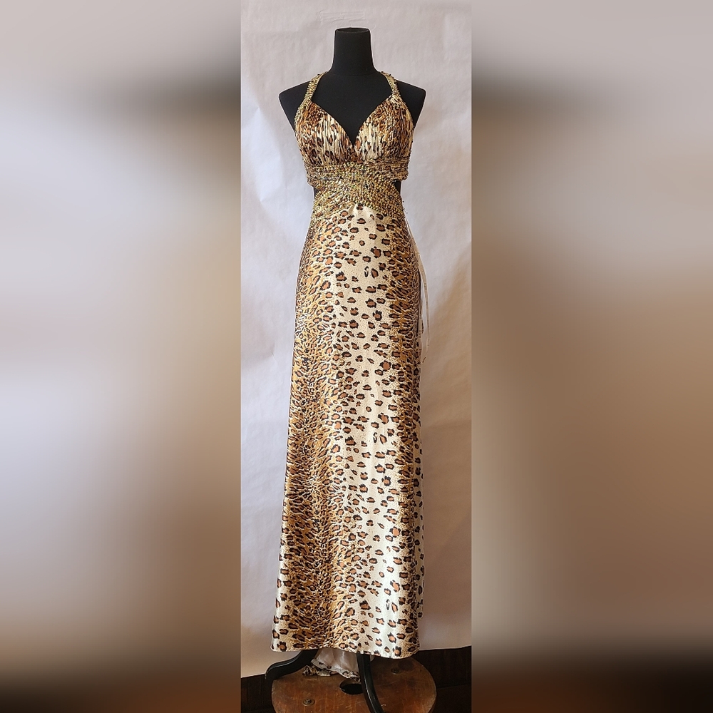 Entice Evening Gown